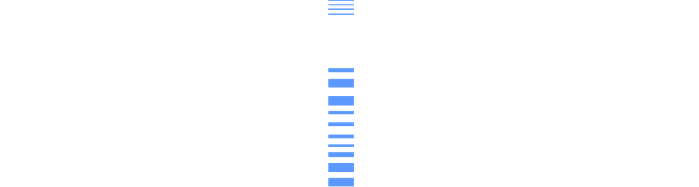 Cure Angelman Now FAST Logo