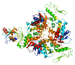 250px-Protein_UBE3A_PDB_1c4z