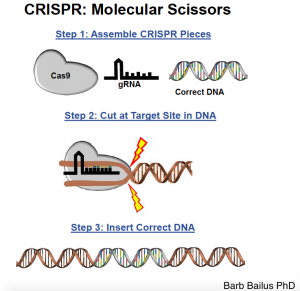 CRISPR1