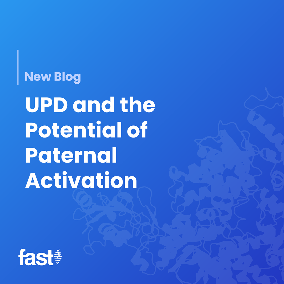 UPD-01