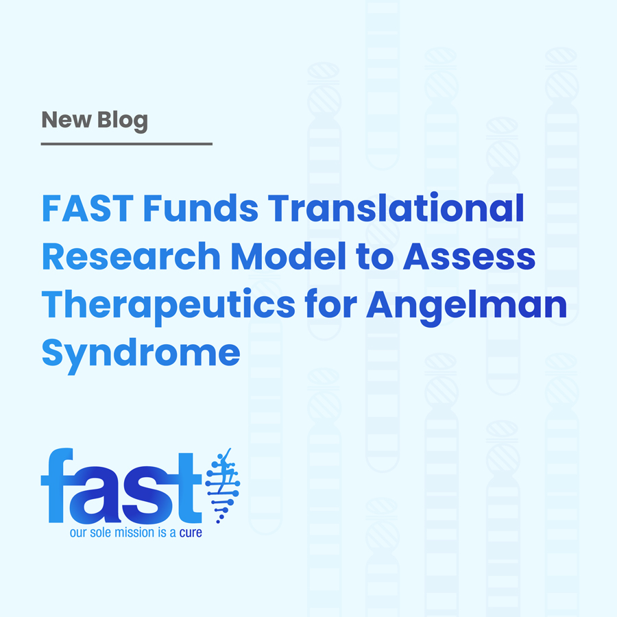 FAST Funds Translational Research Model to Assess Therapeutics for Angelman Syndrome