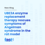 UBE3A enzyme replacement therapy rescues symptoms of Angelman syndrome in the rat modelï¿¼
