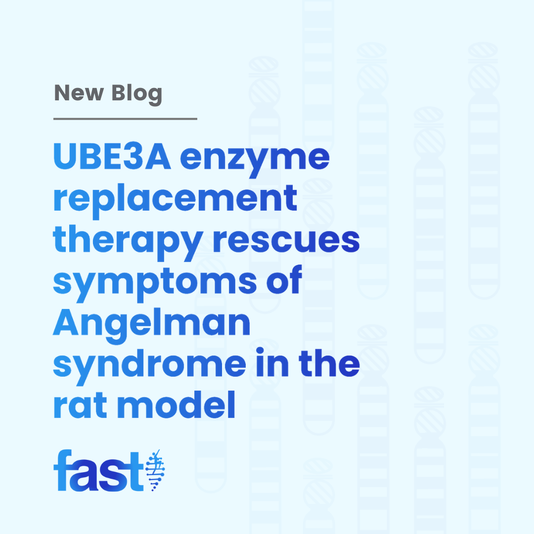 UBE3A enzyme replacement therapy rescues symptoms of Angelman syndrome in the rat model￼