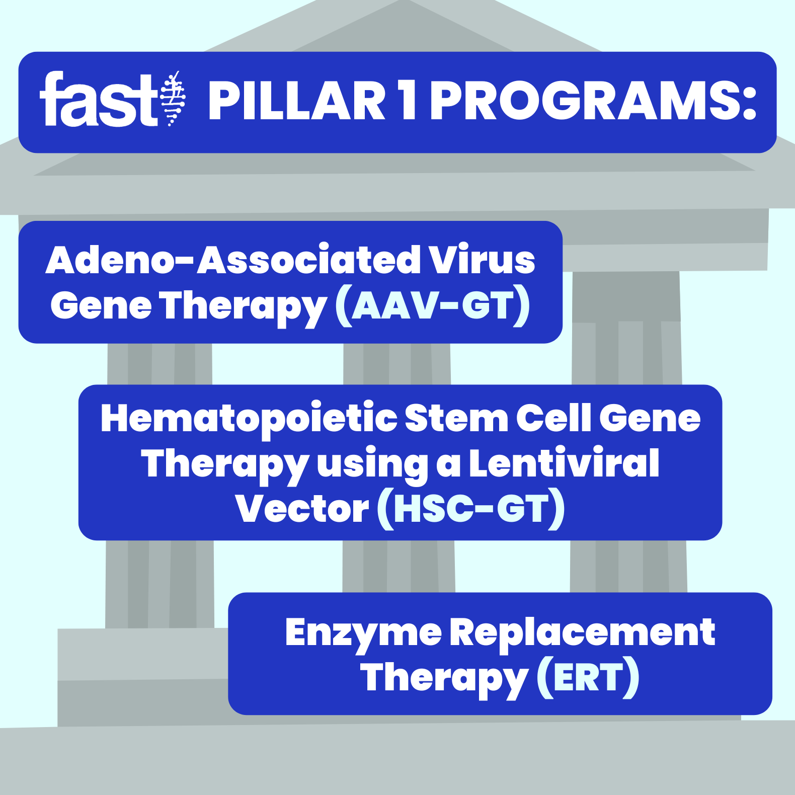Pillar 1 programs: Adeno-Associated Virus Gene Therapy (AAV-GT), Hematopoietic Stem Cell Gene Therapy using a Lentiviral Vector (HSC-GT), Enzyme Replacement Therapy (ERT)