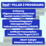 Learn more about the four Pillar 2 programs