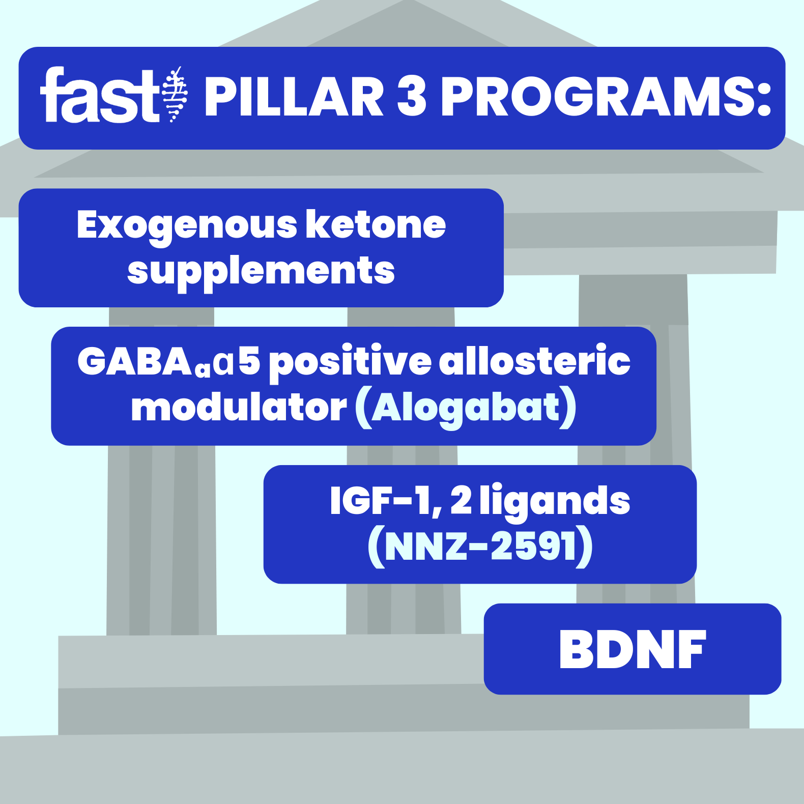 Pillar 3 programs: Exogenous ketone supplements, GABAaɑ5 positive allosteric modulator (Alogabat), IGF-1, 2 ligands (NNZ-2591), BDNF, in front of a building with three pillars