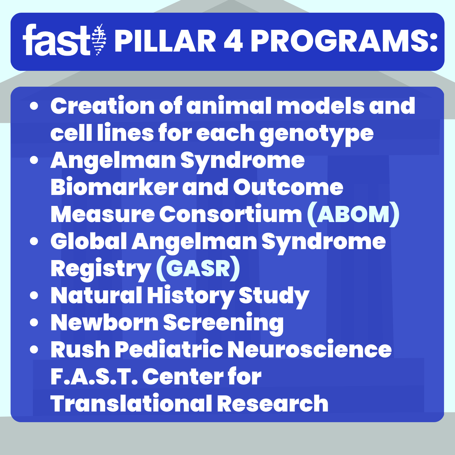 Pillar 4 programs: Creation of animal models and cell lines for each genotype, Angelman Syndrome Biomarker and Outcome Measure Consortium (ABOM), Global Angelman Syndrome Registry (GASR), Natural History Study, Newborn Screening, Rush Pediatric Neuroscience F.A.S.T Center for Translational Research