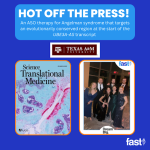 New Angelman syndrome therapy publication from Texas A&M