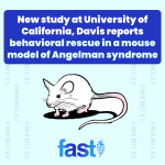 New UC Davis study reports behavioral rescue in a mouse model of Angelman syndrome